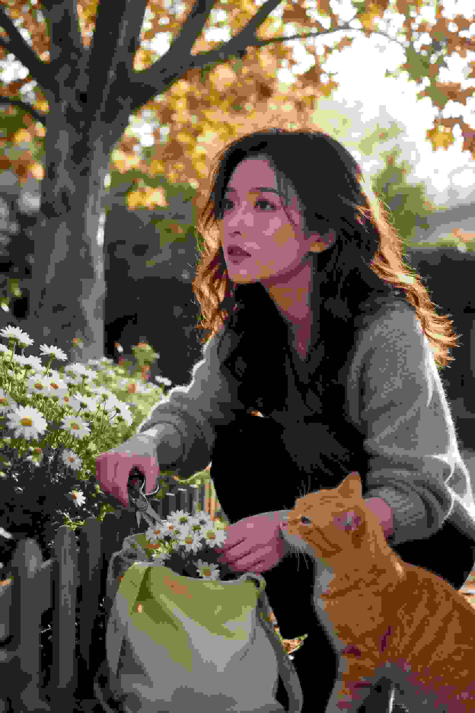 斗罗大陆